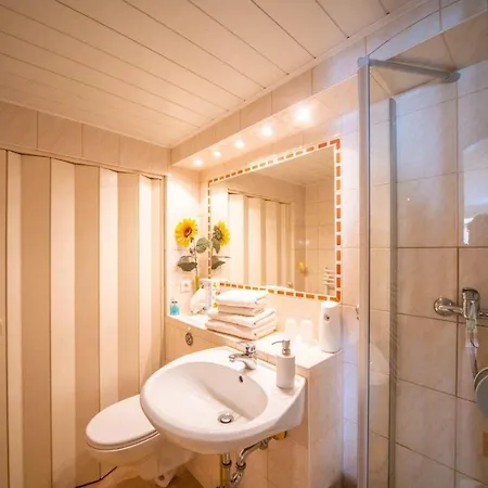 公寓 Ferienwohnung-kopprasch 德累斯顿