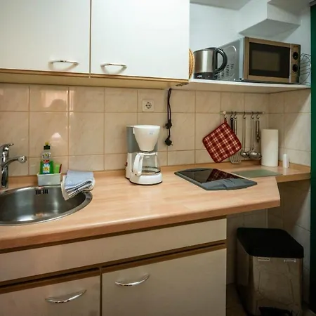 公寓 Ferienwohnung-kopprasch *